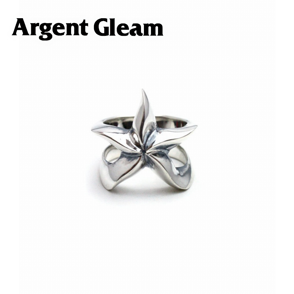 ArgentGleam アージェントグリーム シルバー925 リング 指輪 AR