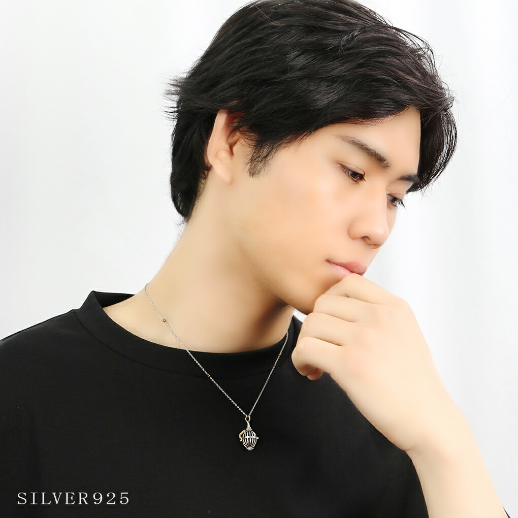 amp japan（アンプジャパン） アンプジャパン8AH-551 鳥かご シルバー