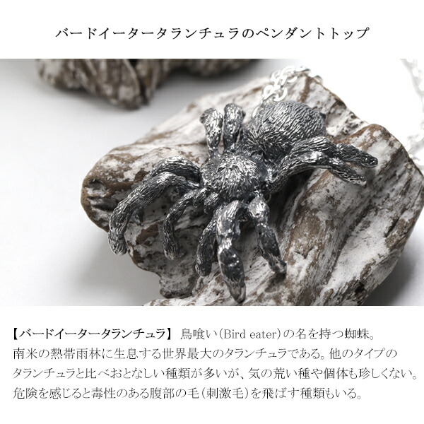 タランチュラ クォーツ 925シルバーペンダント 925刻印あり SA-020 Cold I's バードイーター タランチュラ ペンダントトップ ネックレス