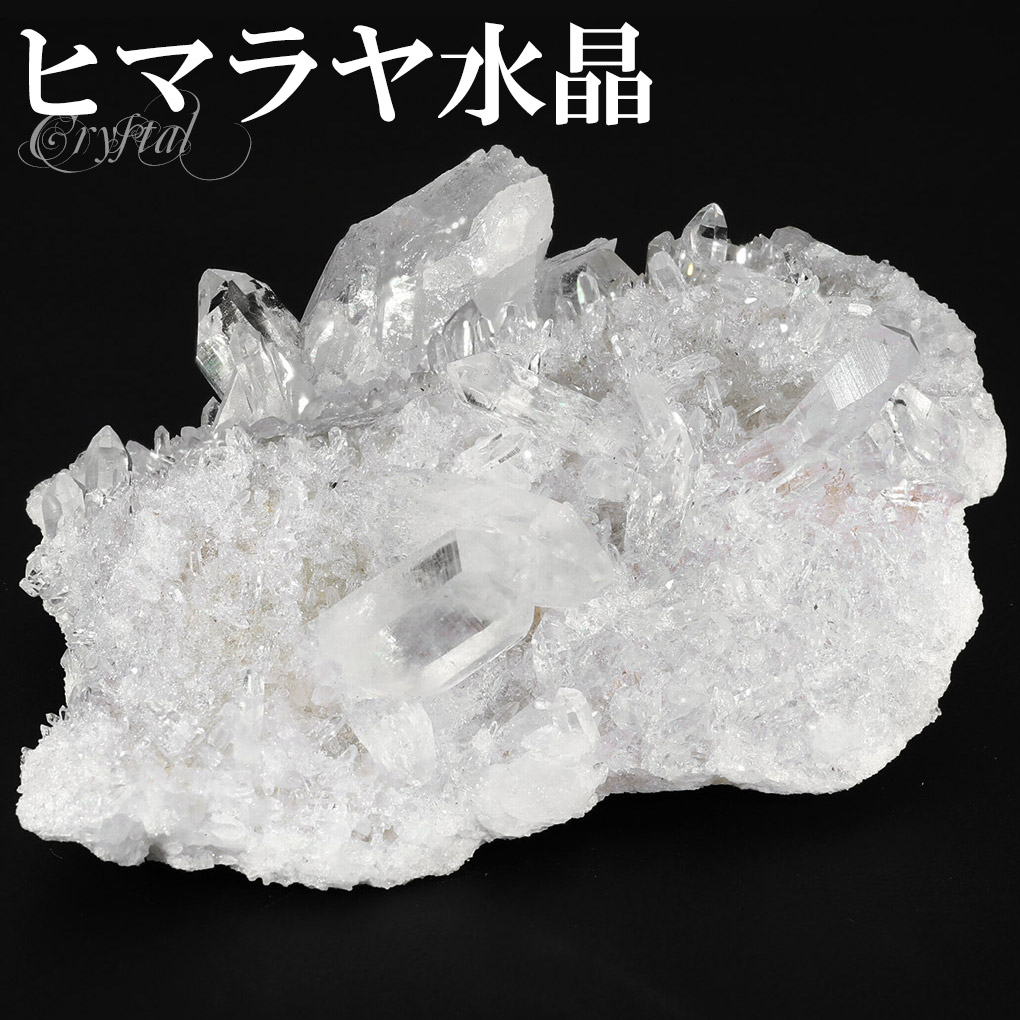 SPECIMENS ROCKS & MINERALS 鉱物岩石標本全2巻 80種 鉱物 標本