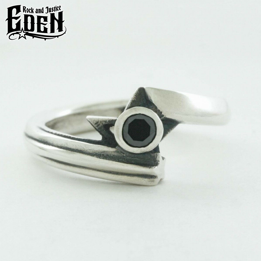 Rock and Justice EDEN �G�f�� �V���C�j���O�X�^�[�����O �L���[�r�b�N�W���R�j�A �u���b�N �w�� 1�`30�� �V���o�[925 �u�����h �V���o�[�A�N�Z�T���[ ����