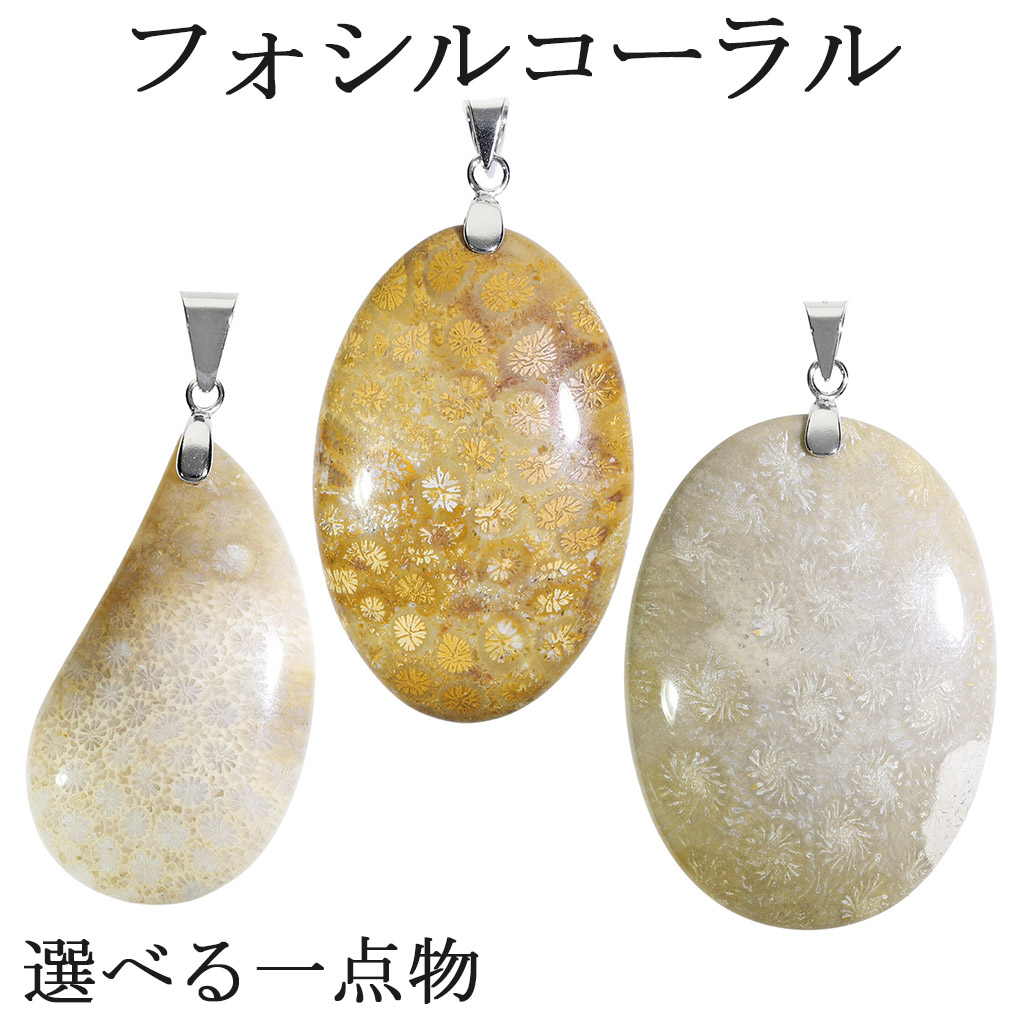 フォシルコーラル シルバー ペンダントトップ 数量限定 選べる 一点物