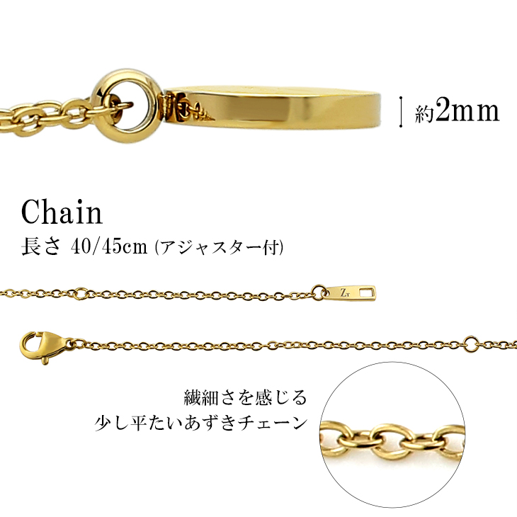 ネックレス メンズ ブランド ゴールド コイン サージカルステンレス ザニポロタルツィーニ シンプル ペンダント 男性 プレゼント 爆買の画像