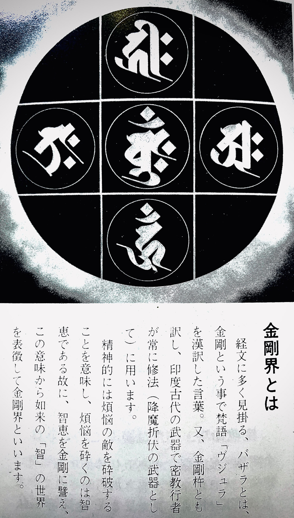 聖 HIJIRI 加護の指輪 Amulet ring リング 11〜30号 スカル ドクロ