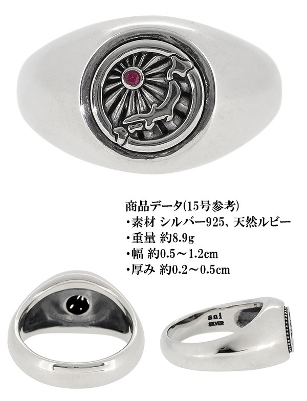 sai-021-i02.jpg