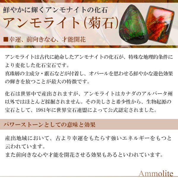 アンモライト ペンダントトップ シルバー 化石 アンモナイト 天然石