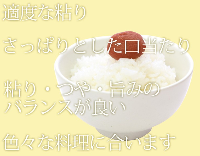 ひとめぼれ 令和6年産 宮城県産ひとめぼれ30Kg 送料無料 無洗米 ひとめぼれ 令和6年産 宮城県産ひとめぼれ30Kg 送料無料 無洗米