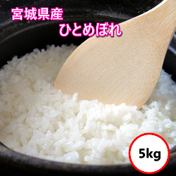 ひとめぼれ 令和7年産 宮城県産ひとめぼれ30Kg 送料無料 無洗米 特売