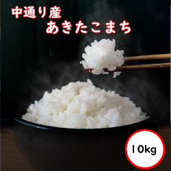 令和5年産 送料無料 無洗米 通常価格5,030円 お米 米 10kg 選べる精米方法 福島中通り産あきたこまち｜ginshari