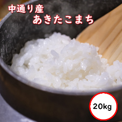 令和5年産 送料無料 無洗米 セール価格9,380円 お米 米 20kg あきたこまち 米 福島中通り産 選べる精米方法