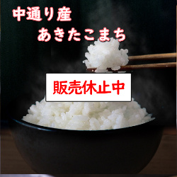 Yahoo! Yahoo!ショッピング(ヤフー ショッピング)令和5年産 送料無料 無洗米 セール価格5,580円 お米 米 10kg 選べる精米方法 福島中通り産あきたこまち