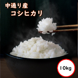 令和5年産 送料無料 無洗米 通常価格5,080円 お米 米 10kg 選べる精米方法 福島中通り産コシヒカリ