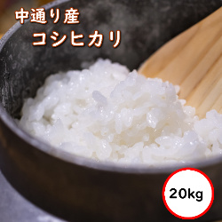 令和5年産 送料無料 無洗米 セー価格9,680円 お米 20kg コシヒカリ 米 福島中通り産 選べる精米方法