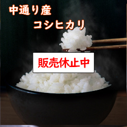 令和5年産 送料無料 無洗米 セール価格14,080円 お米 30kg コシヒカリ 米 福島中通り産 1等米 選べる精米方法 | コシヒカリ