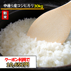 ふくしまプライド。体感キャンペーン（お米） 新米 令和5年産 送料無料 無洗米 超特売価格11，880円 お米 30kg コシヒカリ 米 福島中通り産 1等米 選べる精米方法