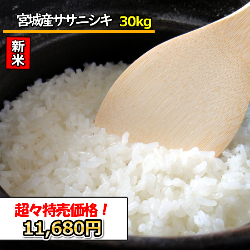 新米 令和5年産 送料無料 無洗米 超々特売価格11，680円 お米 米 30kg お米 宮城産ササニシキ 1等米 選べる精米