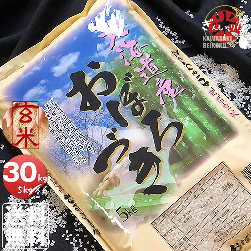 新発売】 米 30kg 5kg×6袋セット お米 玄米 おぼろづき 北海道産 玄米