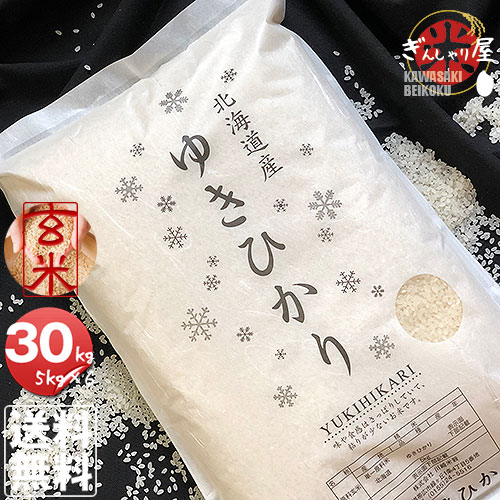 米 30kg 5kg×6袋セット お米 玄米 ゆきひかり 北海道産 玄米 白米 分づき米 令和4年産 送料無料