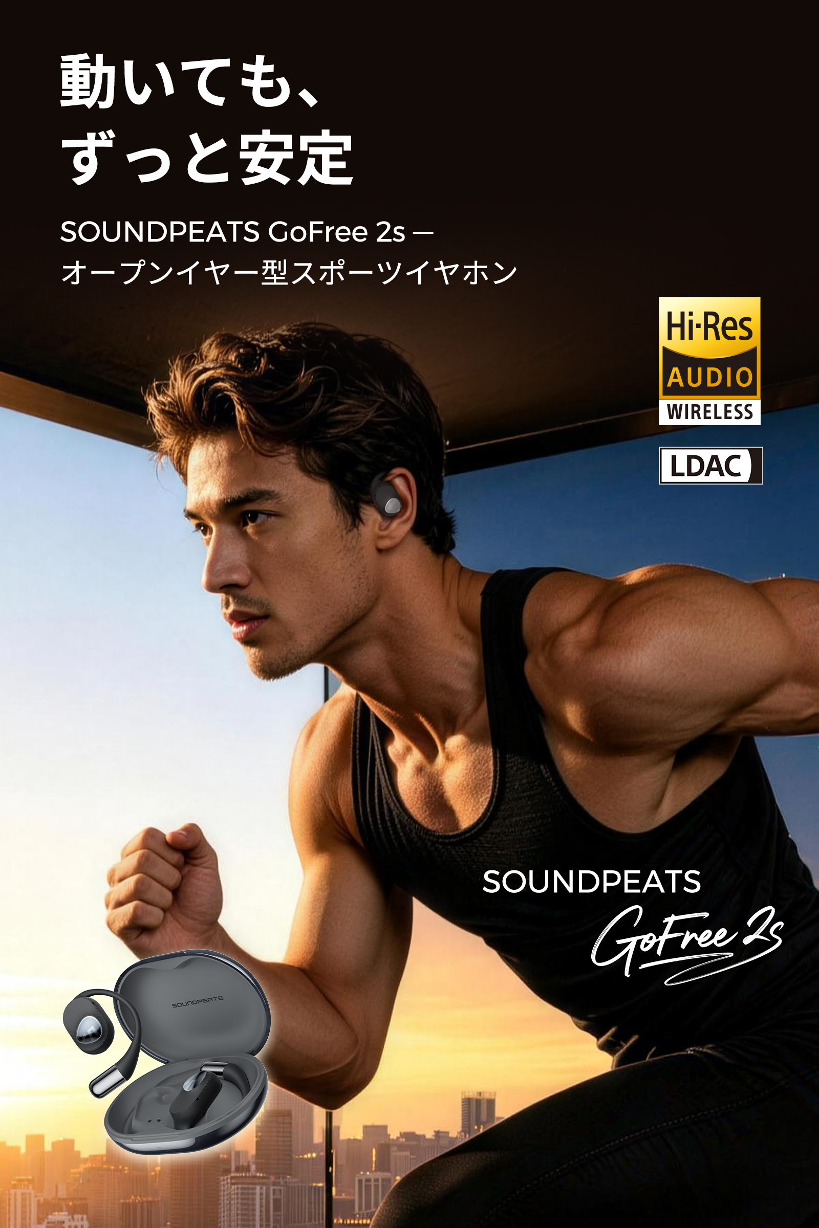 gofree2s-00.jpg