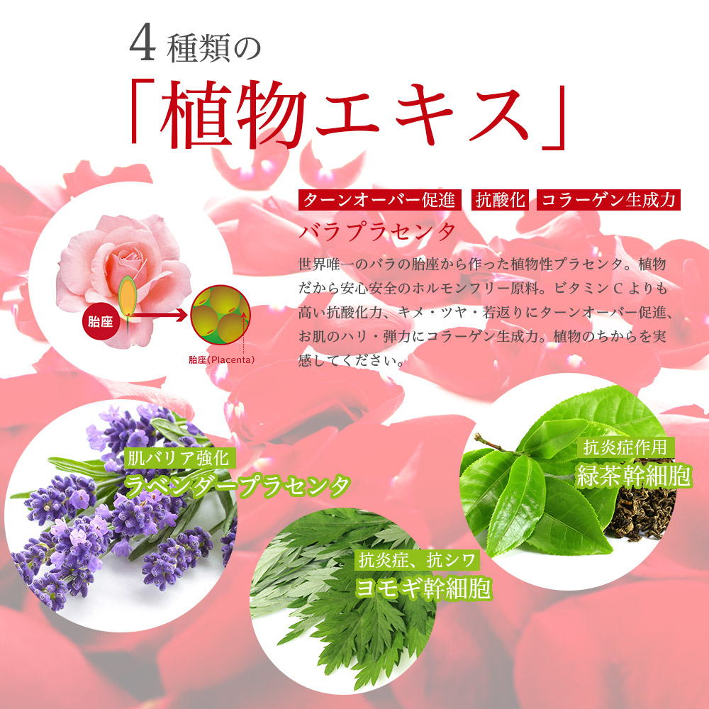 スキンケアジェル 美容液 植物幹細胞 エキス配合 / CHIECO フェイス