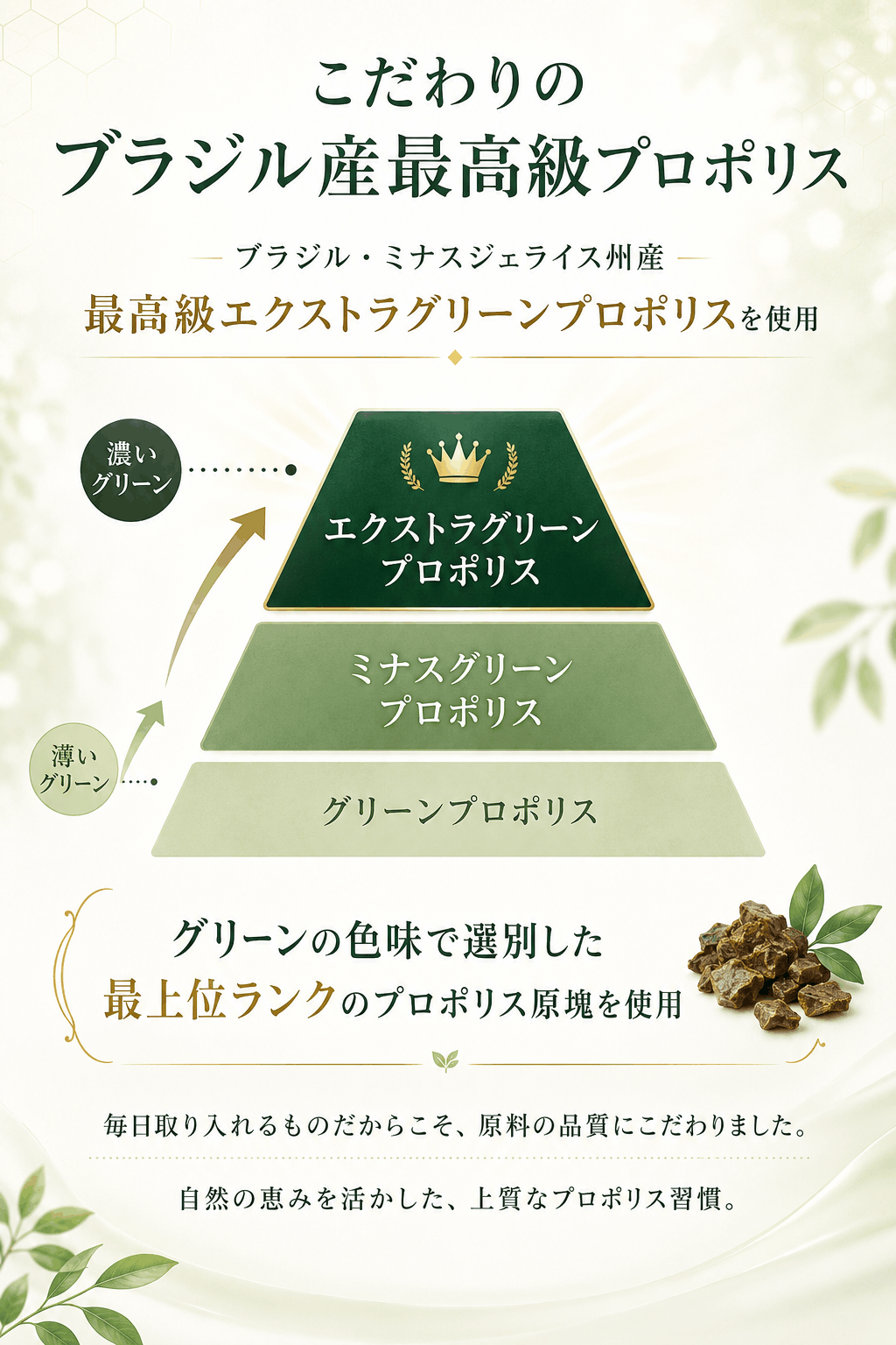 訳あり 賞味期限間近27年3月】銀座プロポリス 90日分 ブラジル産