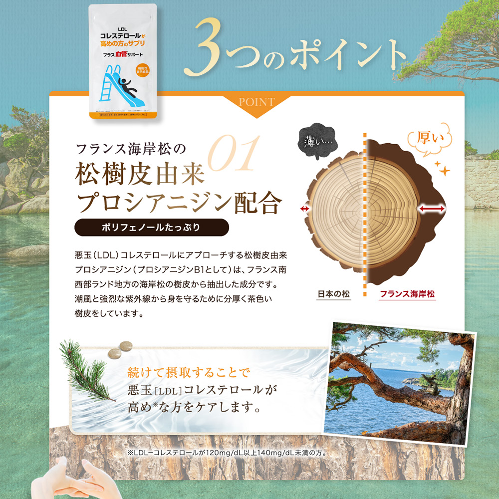 3袋セット 悪玉コレステロール 総コレステロール 機能性表示食品 