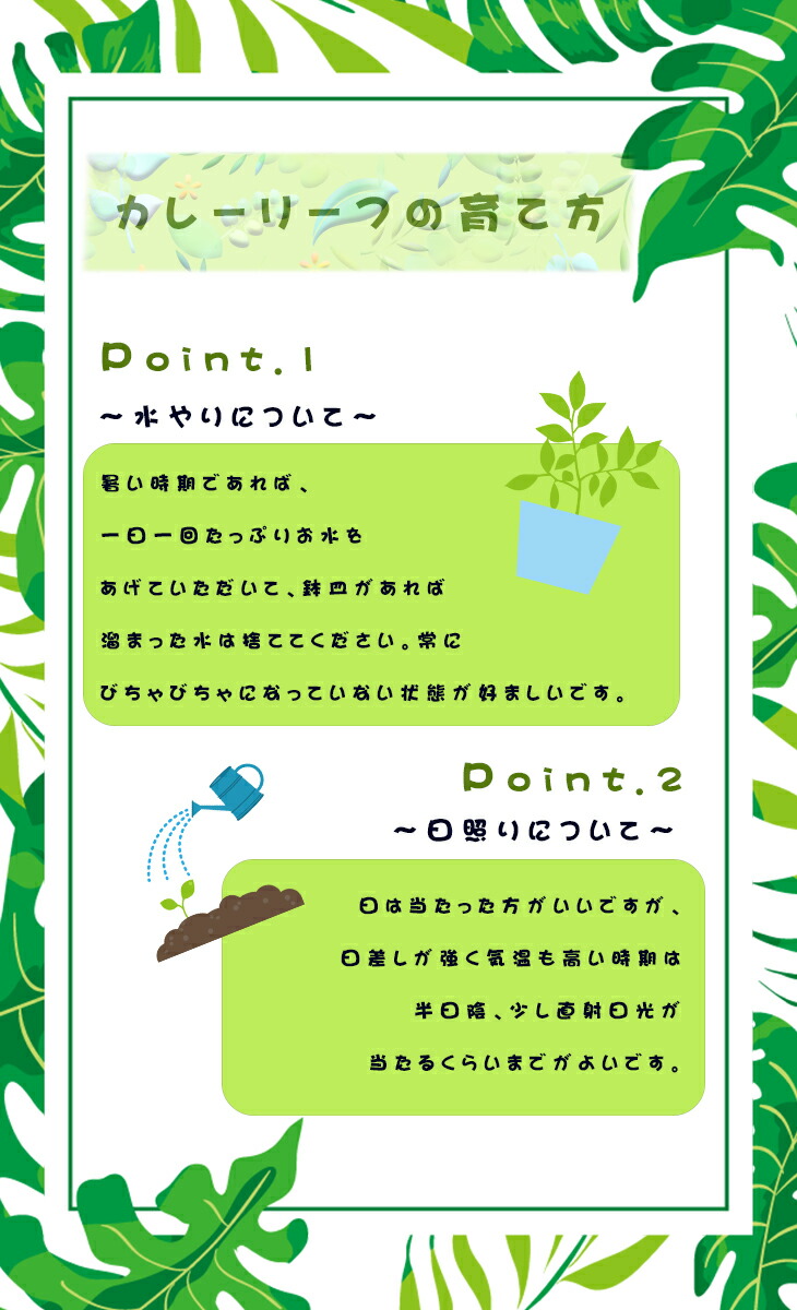 説明書