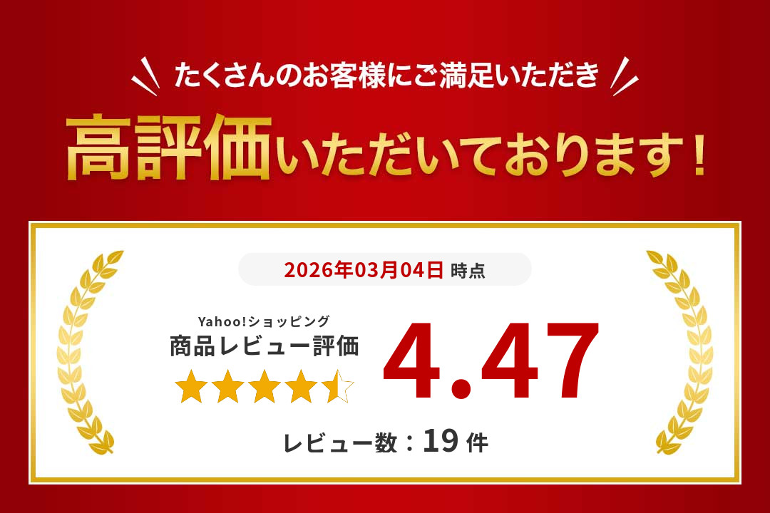ブラーバジェットM6 動作問題なし ブラーバm6の水が出なくなったので分解修理 - ramen papa log