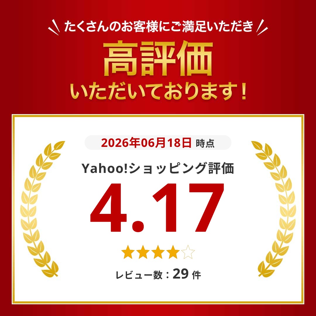 ブラーバ ブラーバジェット m6 タイヤ ゴム 車輪 交換 修理 互換品