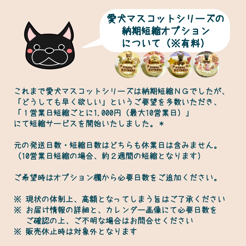 愛犬マスコットの米粉ケーキ（犬用ケーキ オーダーメイド 誕生日 小麦粉不使用 ）｜gioiawanko｜02