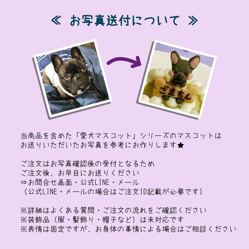 ★愛犬マスコットのカスタマイズケーキ★カスタムオーダー｜gioiawanko｜03