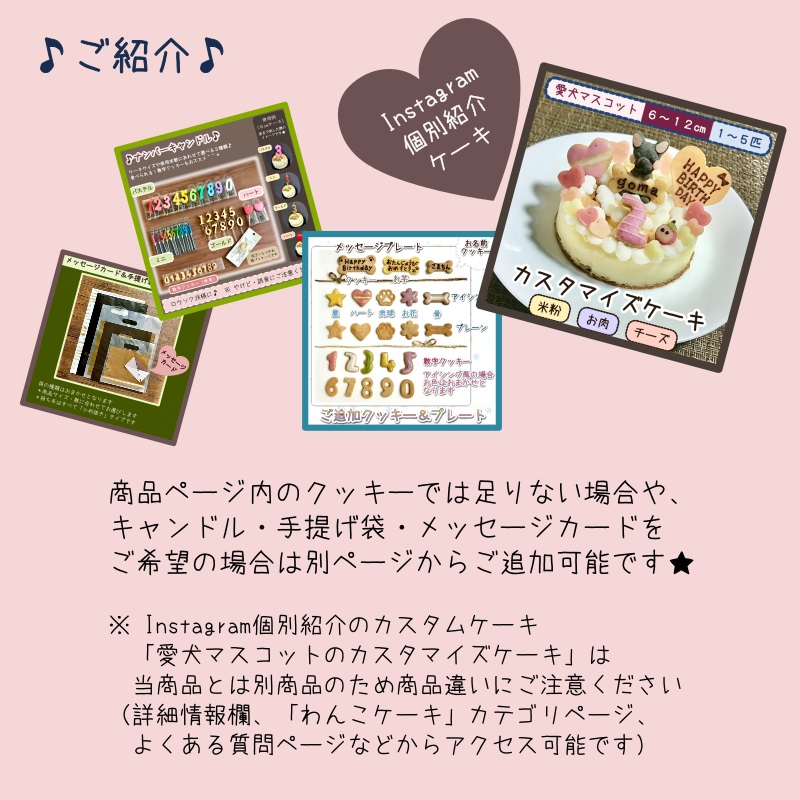 愛犬マスコットの米粉ケーキ（犬用ケーキ オーダーメイド 誕生日 小麦粉不使用 ）｜gioiawanko｜11