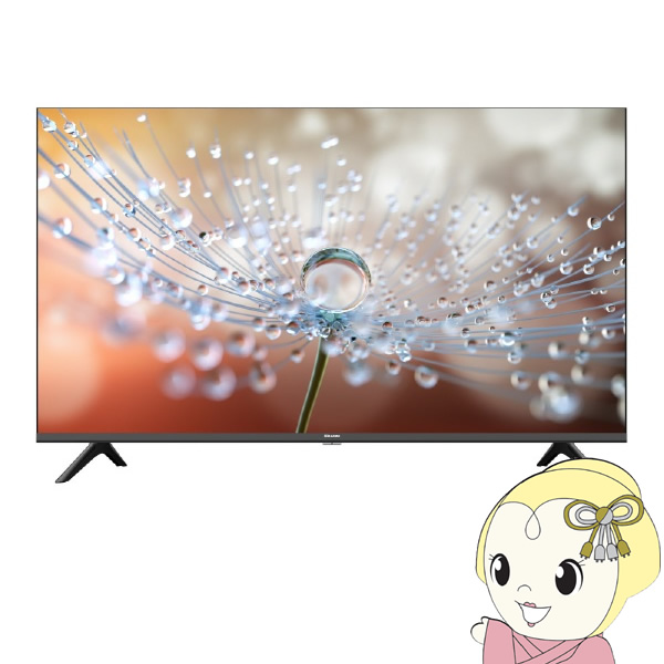 液晶テレビ Hisense ハイセンス ハイビジョン 3波Wチューナー内蔵