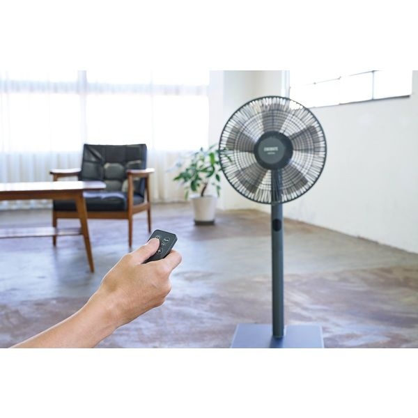 APIX INTERNATIONAL（アピックス インターナショナル） 扇風機