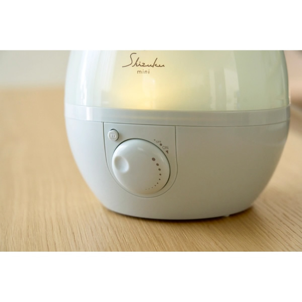 APIX INTERNATIONAL（アピックス インターナショナル） [予約]加湿器