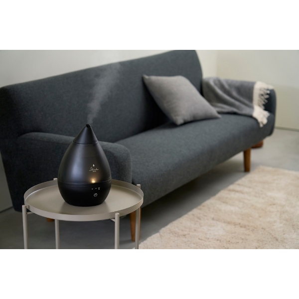 APIX INTERNATIONAL（アピックス インターナショナル） [予約]加湿器