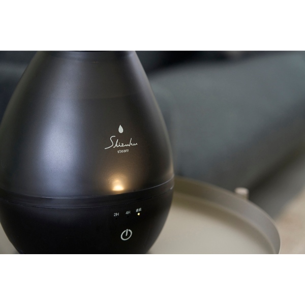 APIX INTERNATIONAL（アピックス インターナショナル） [予約]加湿器