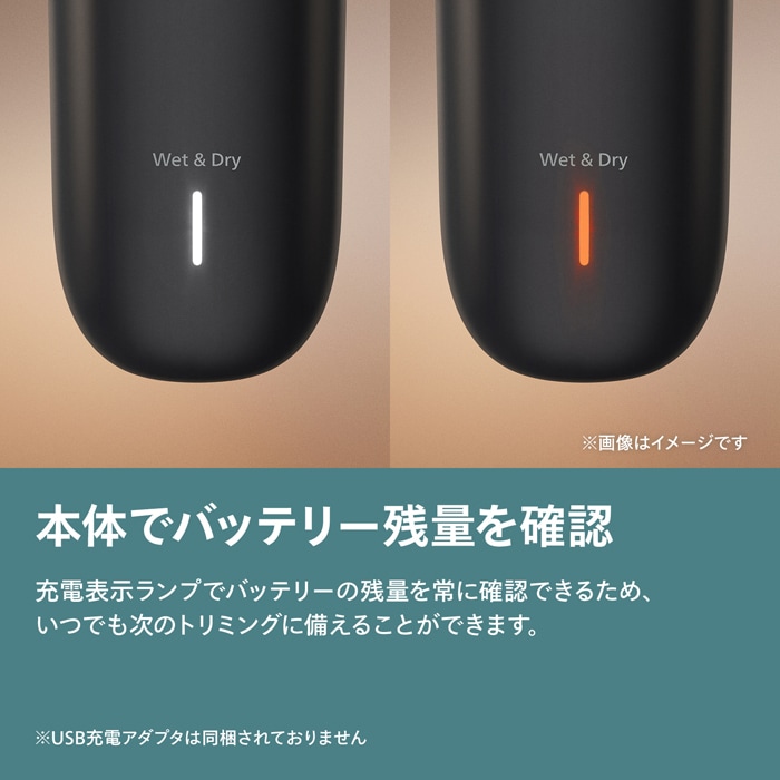 Philips（フィリップス） ボディーグルーマー Philips Body Groomer