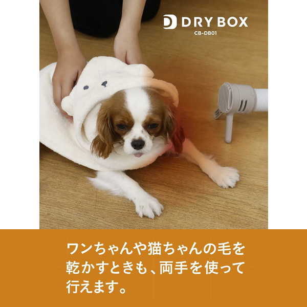 [予約]衣類ふとんドライヤー DRYBOX シービージャパン CB JAPAN CB-DB01｜gion｜04