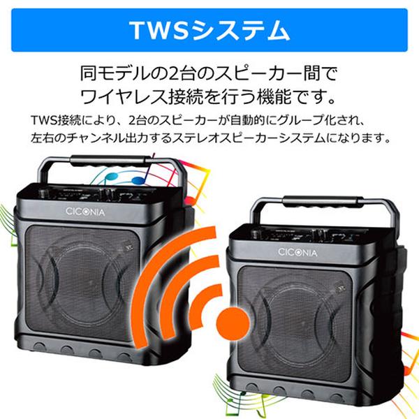 CICONIA（チコニア） デスクトップスピーカー CDD160A ワイヤレス
