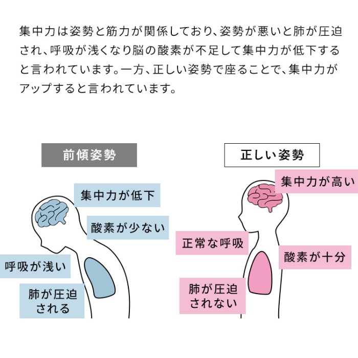 プロポーションチェア SOLA バランスチェア デスクチェア 姿勢改善 猫背矯正 勉強椅子 リビングチェア 学習チェア ダークグレーの画像