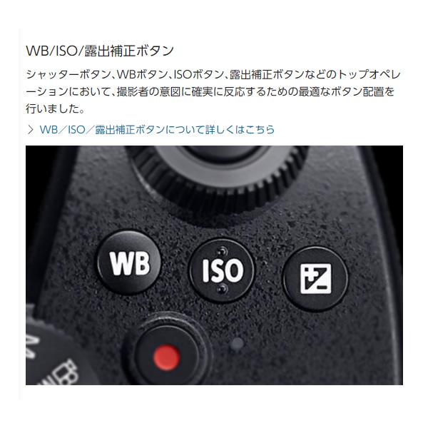 カメラボディ パナソニック ミラーレス一眼カメラ LUMIX ボディ DC-G99D-K｜gion｜05