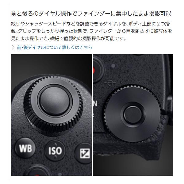 カメラボディ パナソニック ミラーレス一眼カメラ LUMIX ボディ DC-G99D-K｜gion｜06