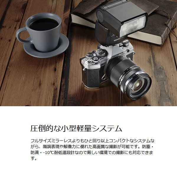 通販豊富な】 OLYMPUS ミラーレス一眼レフカメラ OM-D E-M5 Mark III