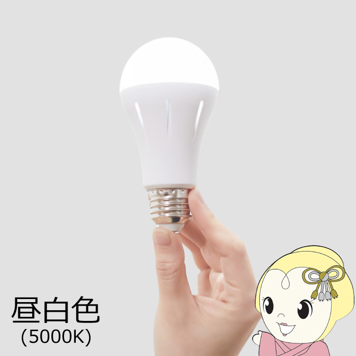 ���{�h�ЃX�L�[�� ���ł������vtsuita �����F 5000K  50W���� E26NW50WS