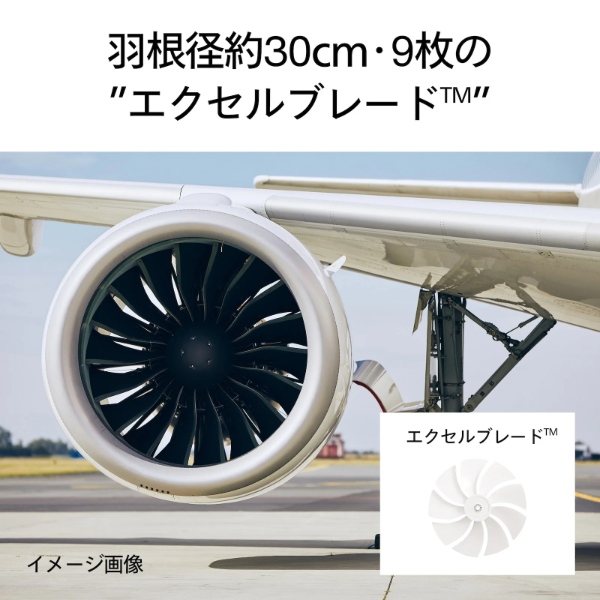 扇風機 ツインバード TWINBIRD サーキュレーション扇風機 DCモーター搭載 リモコン付き サーキュレーター 静音 ホワイト EF-E952W | ツインバード | 02