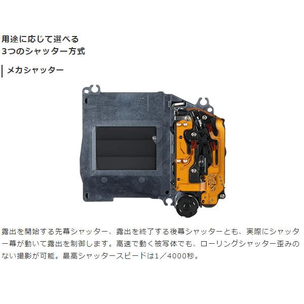 Canon キヤノン ミラーレスデジタル一眼カメラ EOS R10 ボディ｜gion｜08