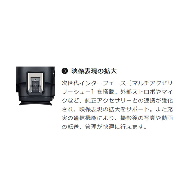 キャノン フルサイズミラーレス一眼デジタルカメラ　EOS R6 Mark II ボディ｜gion｜07
