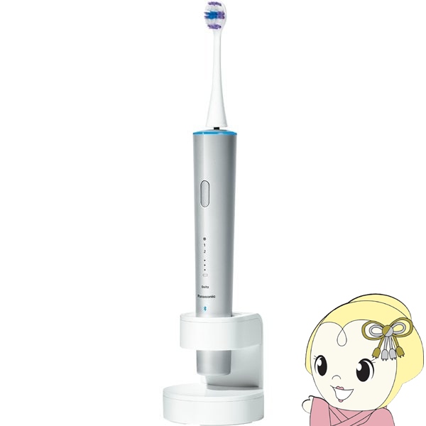 電動歯ブラシ Panasonic パナソニック Doltz ドルツ EW-DT63-S シルバー 音波振動ハブラシ｜ぎおん