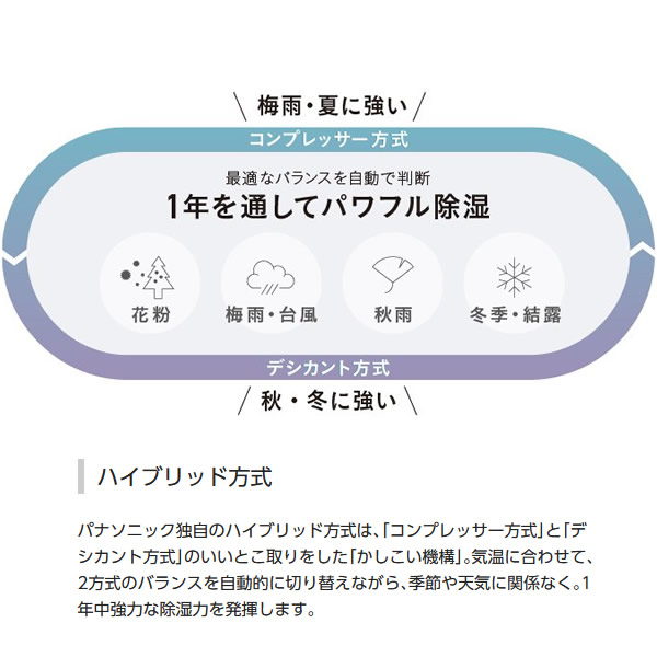 人気絶頂 予約 パナソニック ナノイーX 搭載 衣類乾燥 除湿機